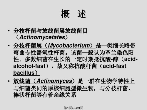 分枝杆菌