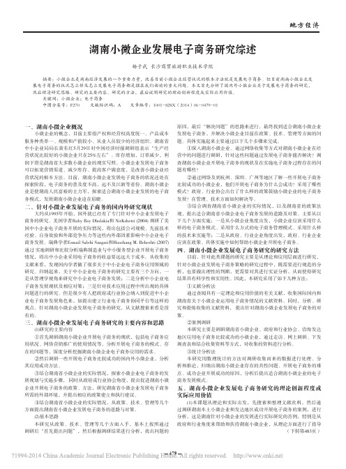 湖南小微企业发展电子商务研究综述_杨子武