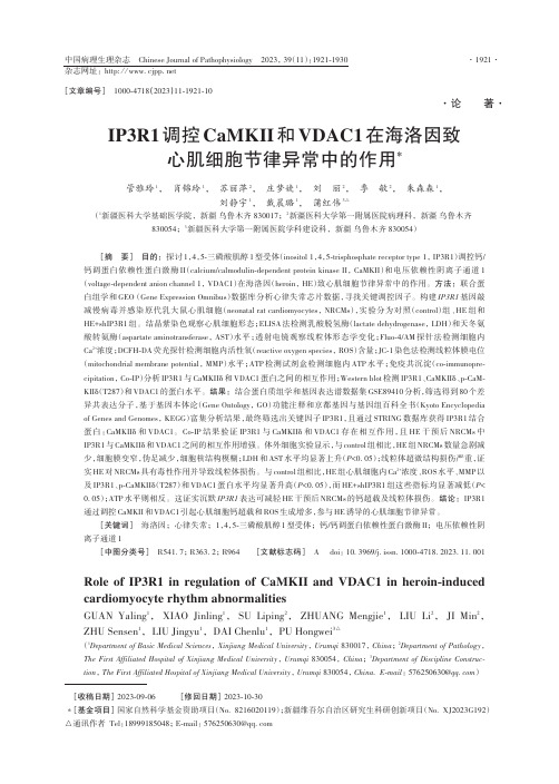 IP3R1调控CaMKII和VDAC1在海洛因致心肌细胞节律异常中的作用