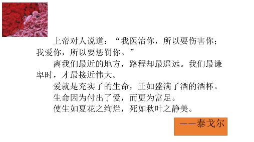 世界上最远的距离