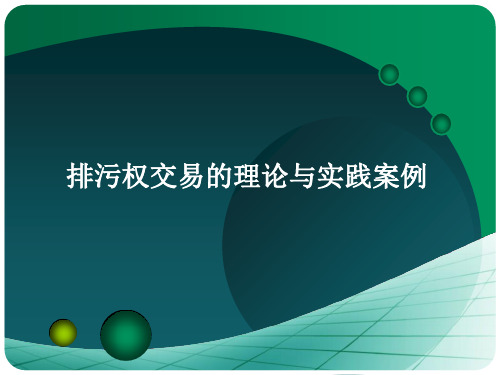 排污权交易的理论及实践案例课题报告