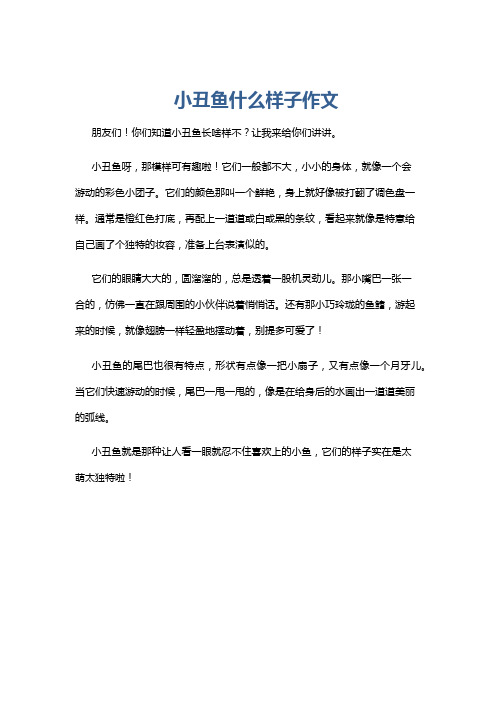 小丑鱼什么样子作文