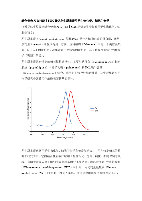 绿色荧光FITC-PNA┃FITC标记花生凝集素用于生物化学、细胞生物学