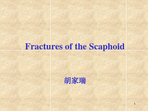 舟状骨骨折 Scaphoid Fracture 2..