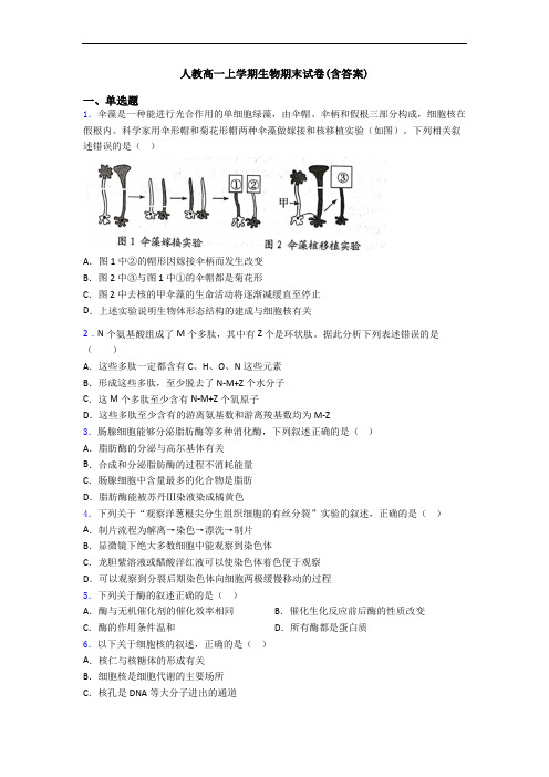 人教高一上学期生物期末试卷(含答案)