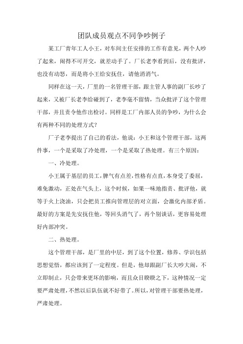 团队成员观点不同争吵例子