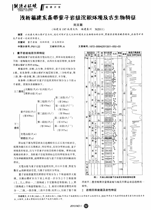 浅析福建东条带童子岩组沉积环境及古生物特征