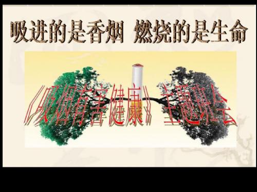 《吸烟有害健康》主题班会 ppt课件