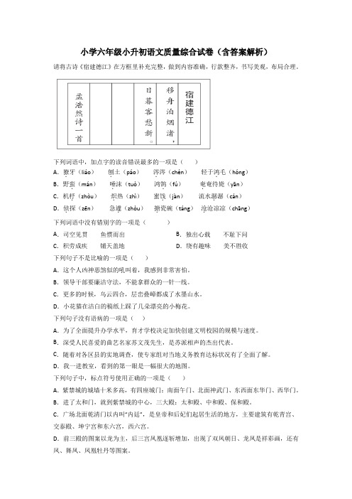 小学六年级小升初语文质量综合试卷(含答案解析)