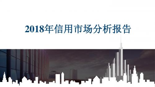 2018年信用市场分析报告