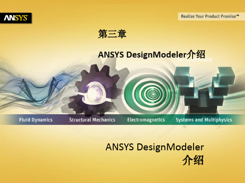 Ansys 14.0 Workbench 课件4-DM-Intro_Introduction_to_DM中文