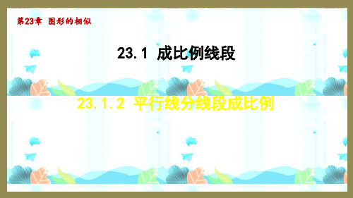 23.1.2 平行线分线段成比例 (课件)2024-2025-华东师大版数学九年级上册