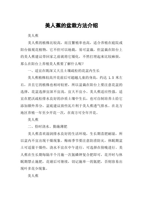 美人蕉的盆栽方法介绍