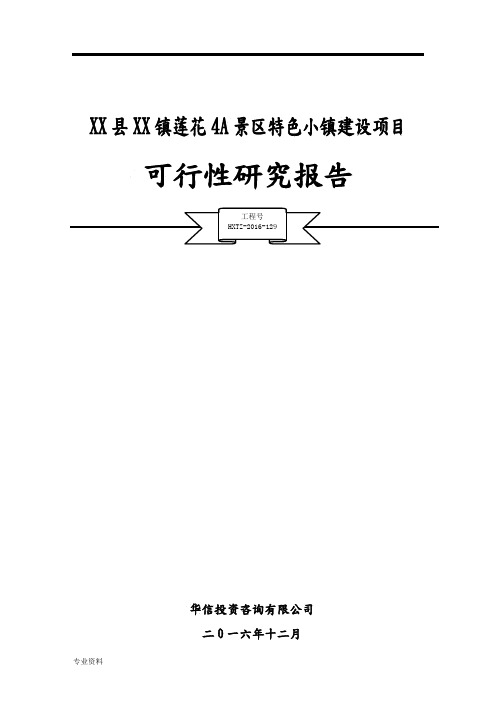 XX县特色小镇项目可行性研究报告