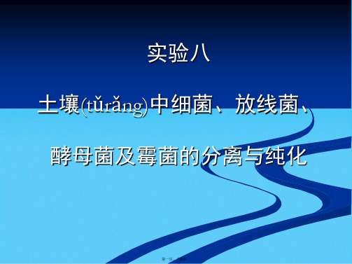 实验八土壤中细菌、放线菌、酵母菌及霉菌的分离与纯化