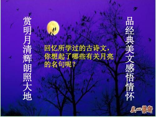 记承天寺夜游PPT117 苏教版 (共30张PPT)