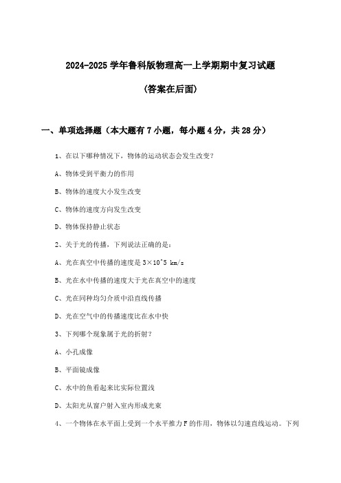 2024-2025学年鲁科版高一上学期期中物理试题及答案指导