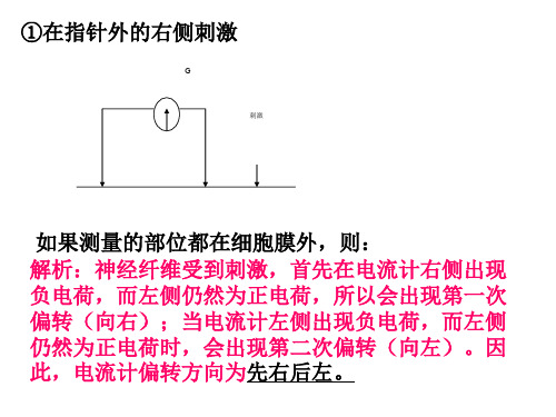 兴奋传导中电流表指针偏转问题ppt课件