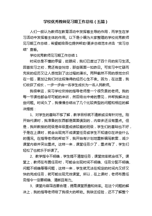 学校优秀教师见习期工作总结（五篇）