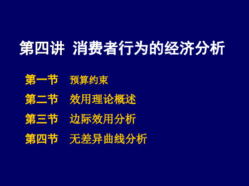 第四讲-消费者行为理论课件