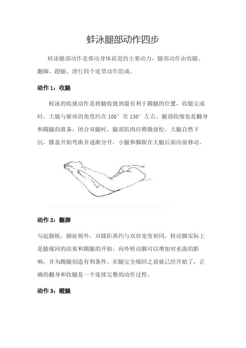 蛙泳腿部动作四步