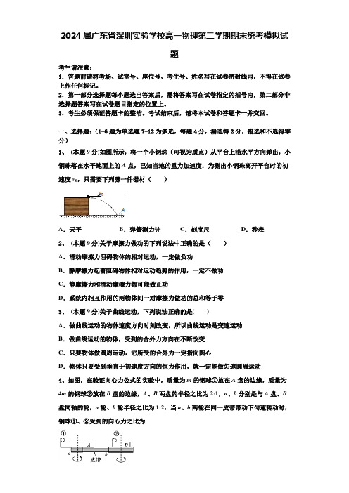 2024届广东省深圳实验学校高一物理第二学期期末统考模拟试题含解析