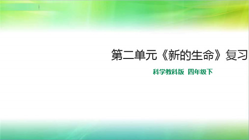 教科版小学科学四年级下册科学第二单元复习 课件(96张PPT)