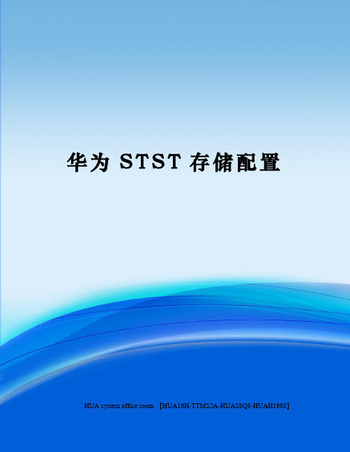 华为STST存储配置定稿版