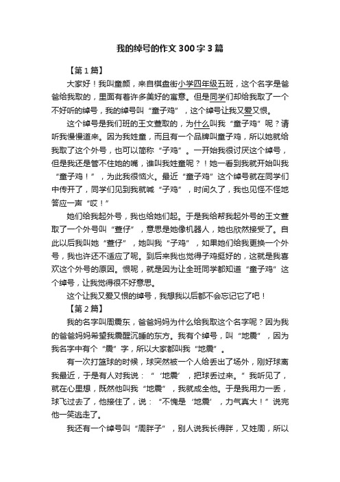 我的绰号的作文300字3篇