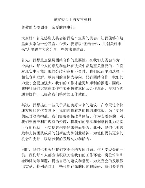 在支委会上的发言材料