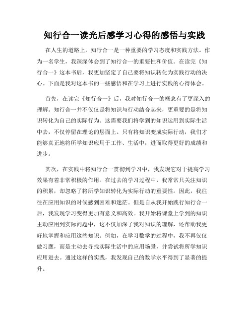 知行合一读光后感学习心得的感悟与实践