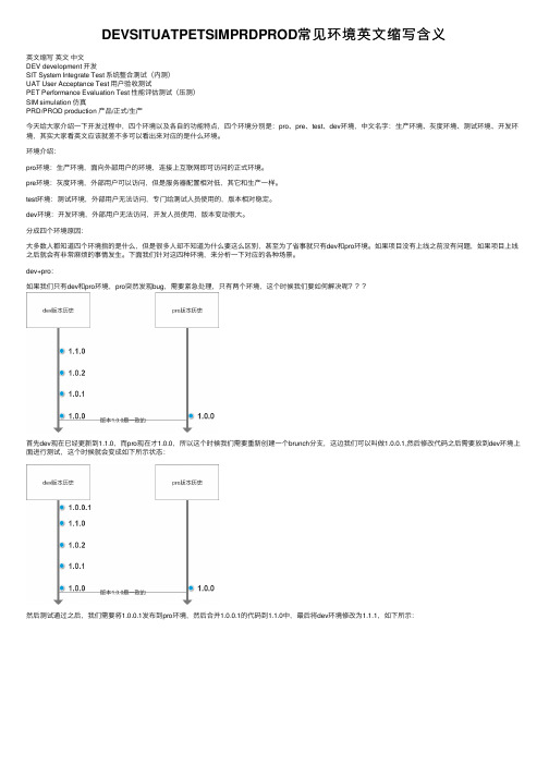 DEVSITUATPETSIMPRDPROD常见环境英文缩写含义