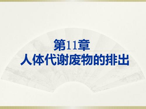 第11章-人体代谢废物的排出复习课件.ppt