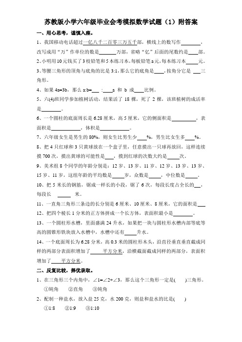 2020苏教版小学六年级小升初毕业会考模拟数学试题(1)附答案-精校.doc