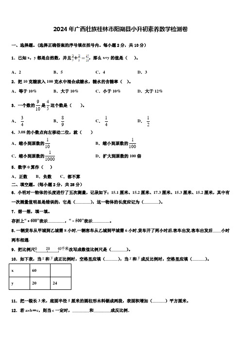 2024年广西壮族桂林市阳朔县小升初素养数学检测卷含解析