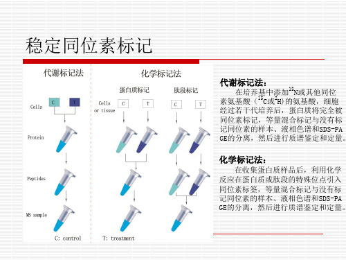 同位素标记方法蛋白质组学