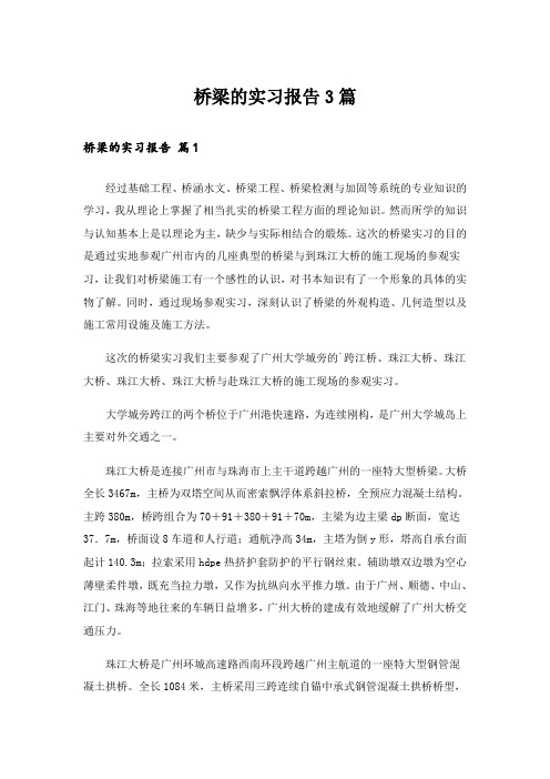 实用文_桥梁的实习报告3篇