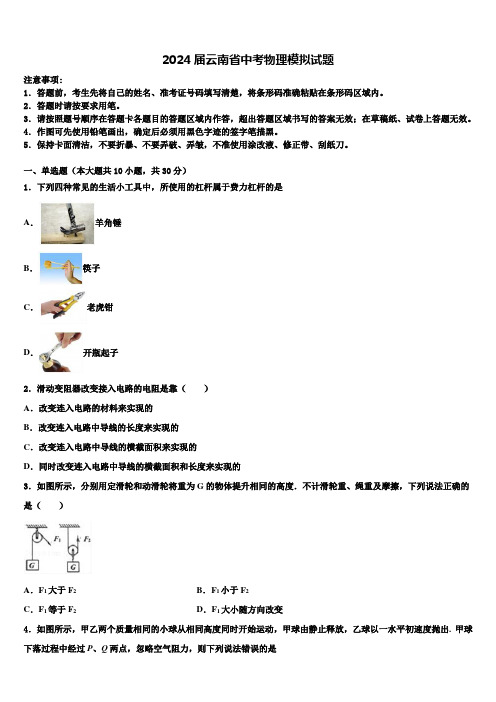 2024届云南省中考物理模拟试题含解析