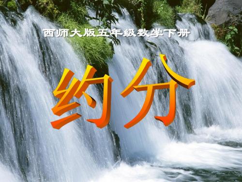 《约分》分数 精品课件(共16张)