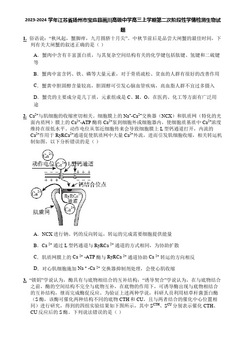 2023-2024学年江苏省扬州市宝应县画川高级中学高三上学期第二次阶段性学情检测生物试题