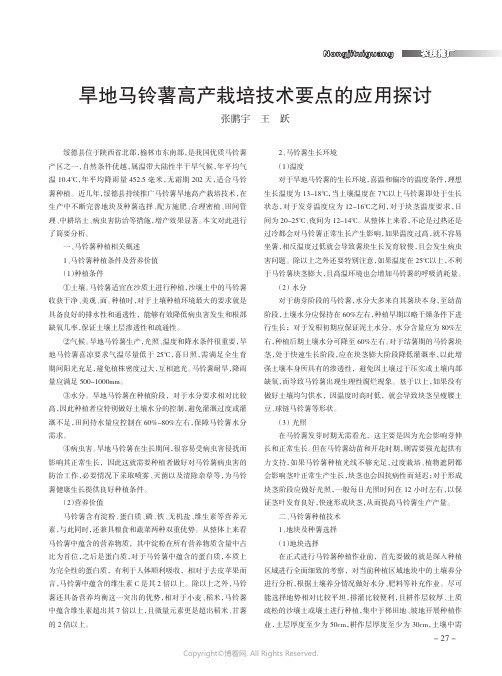 旱地马铃薯高产栽培技术要点的应用探讨