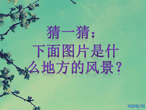高中拉丁美洲音乐教案