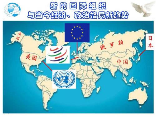 新的国际组织和政治格局多极化趋势