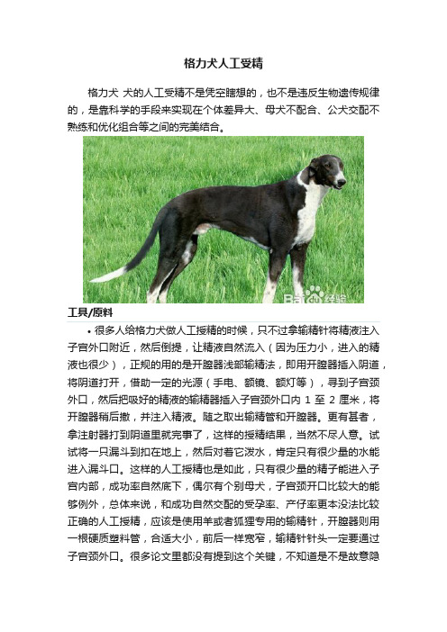 格力犬人工受精