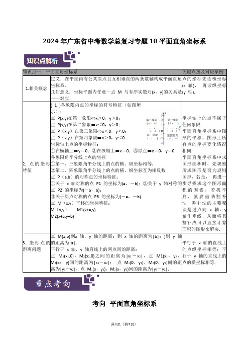 2024年广东省中考数学总复习专题10：平面直角坐标系