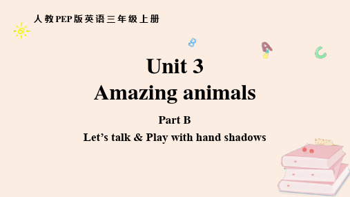 《Amazing animals》PartB PPT课件(第1课时)