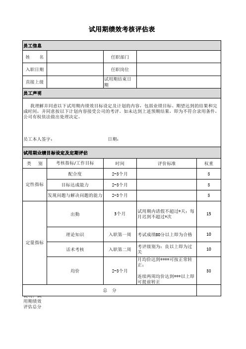 试用期绩效考核评估表