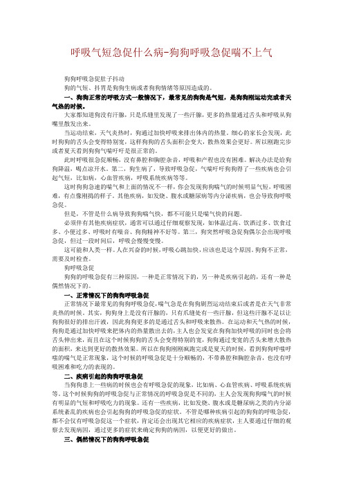 呼吸气短急促什么病-狗狗呼吸急促喘不上气