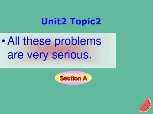 九年级英语上册Unit2SavingtheearthTopic2AlltheseproblemsareveryseriousSectionA课件(新版)仁爱版