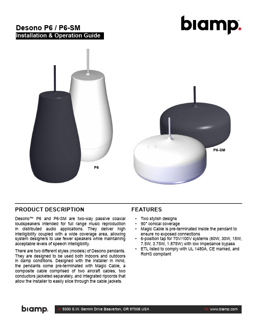 Biamp Desono P6 P6-SM 双向有导线悬挂扬声器说明书